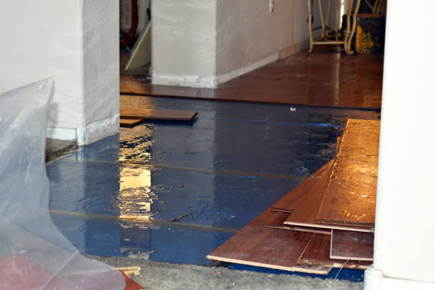 Professional Water Damage Restoration technician working in Sedgwick, KS